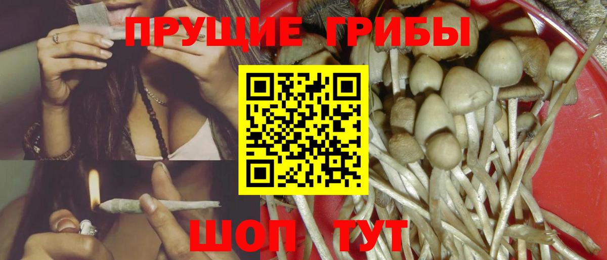 Псилоцибиновые грибы ЛСД Белогорск